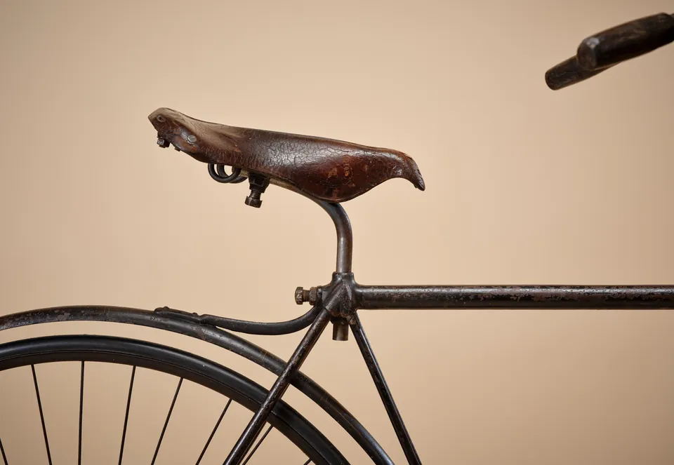 1890 Coventry Machinists' Co. Model C Safety Bicycle, photograph 2