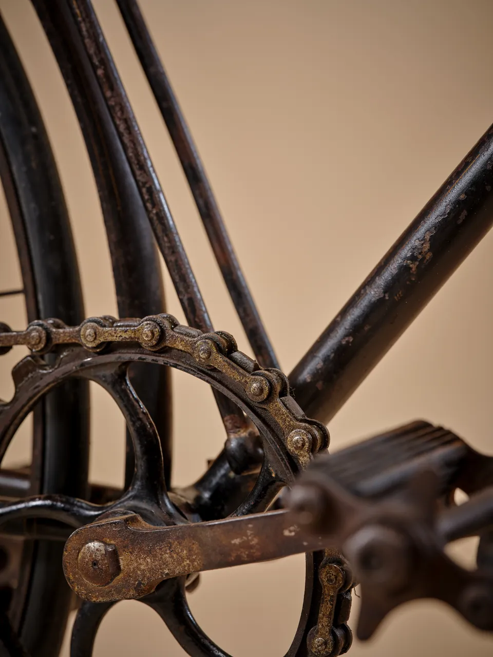 1890 Coventry Machinists' Co. Model C Safety Bicycle, photograph 10