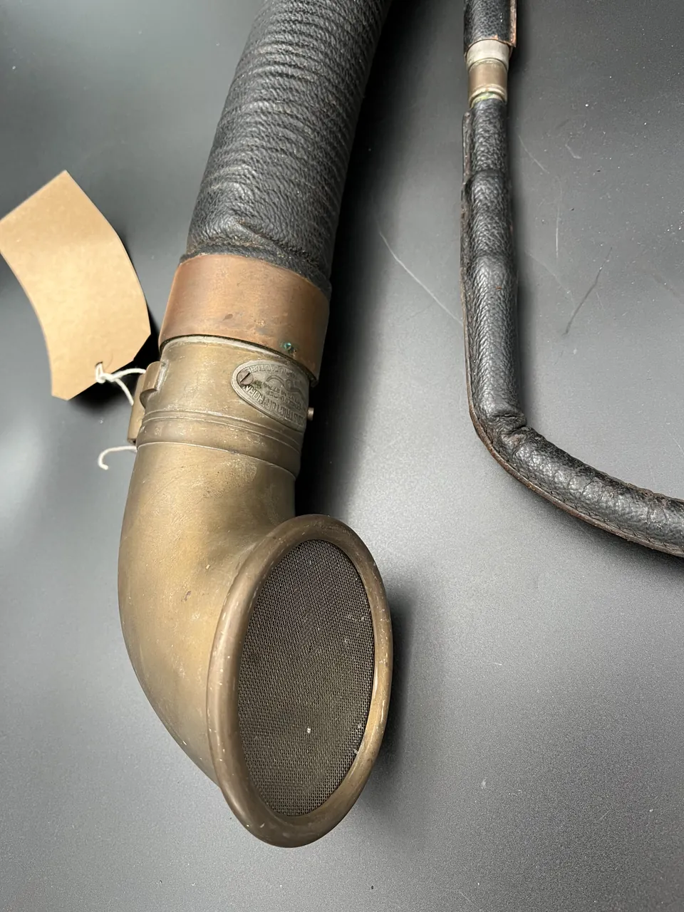 Boa constrictor horn